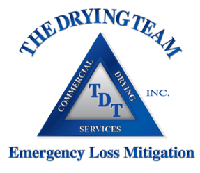 The Drying Team logo