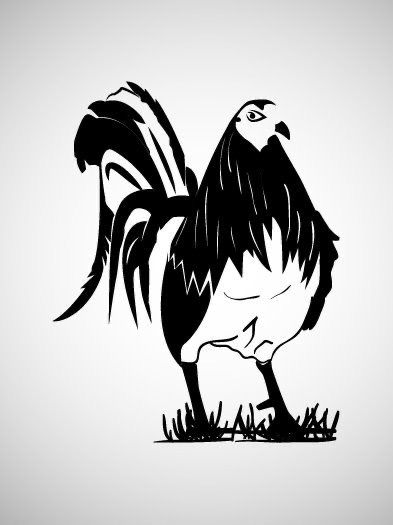Avatar for ROOSTER DRYWALL LLC