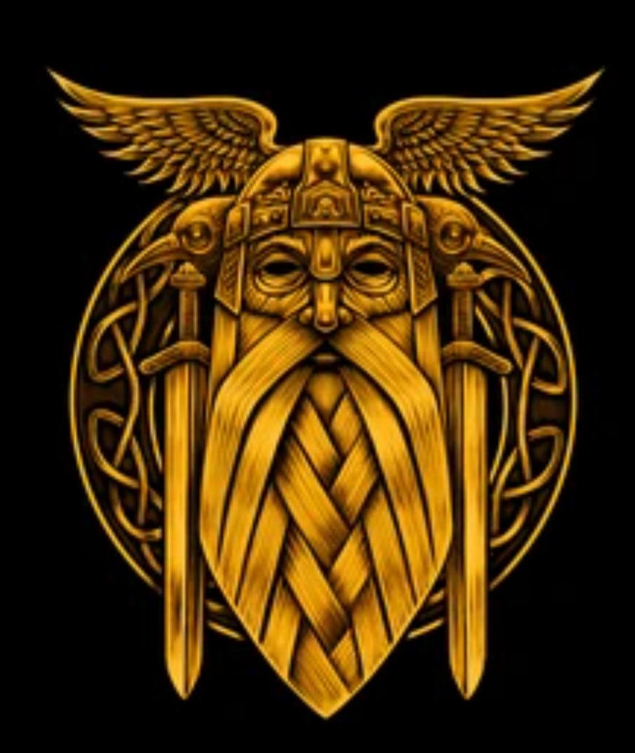 Odin Plumbing logo