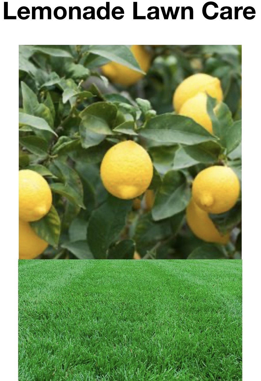 Lemonade Lawn Care logo