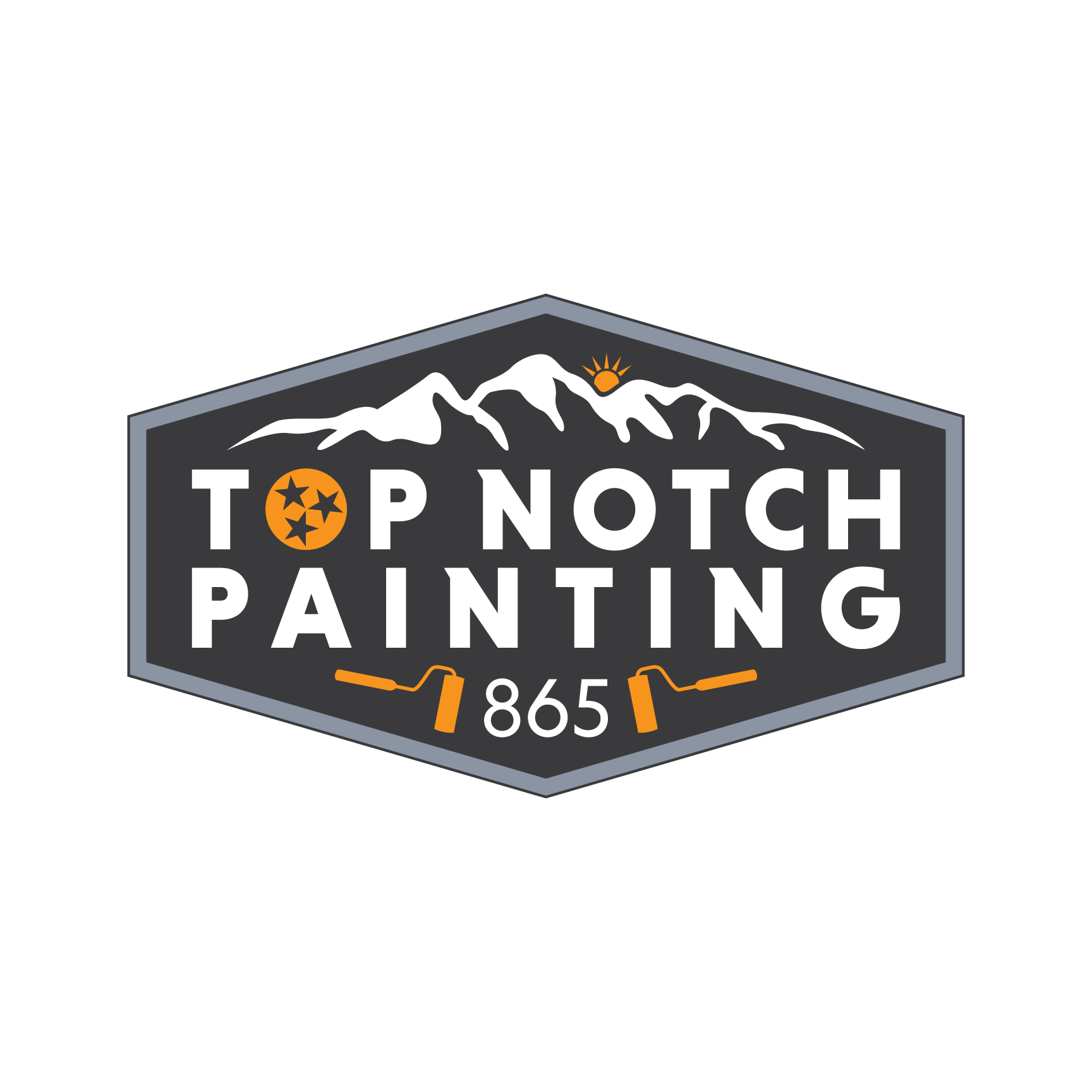 Top Notch Painting logo