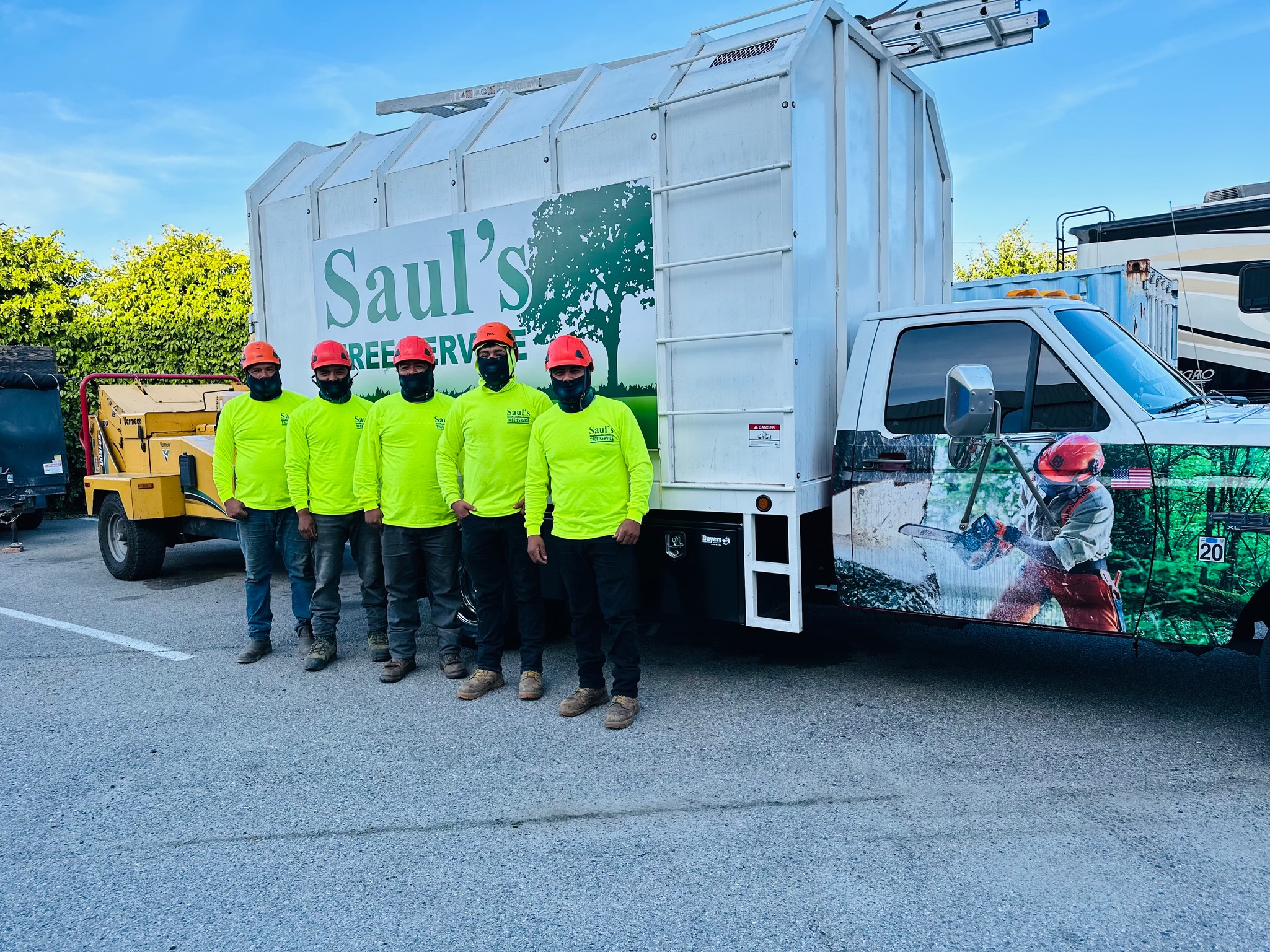 SAUL'S TREE SERVICE logo