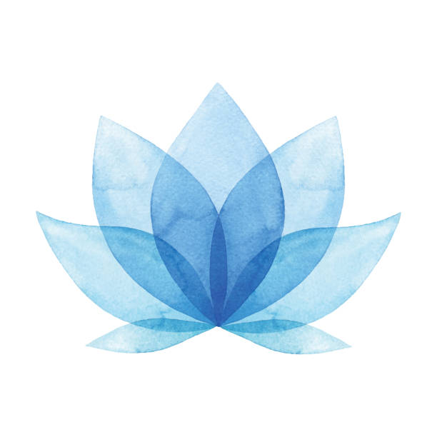 Logo for Blue Lotus House Cleaning