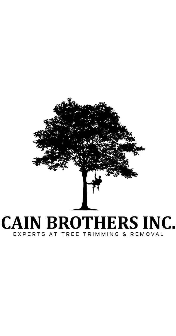 Cain Brothers Inc. logo