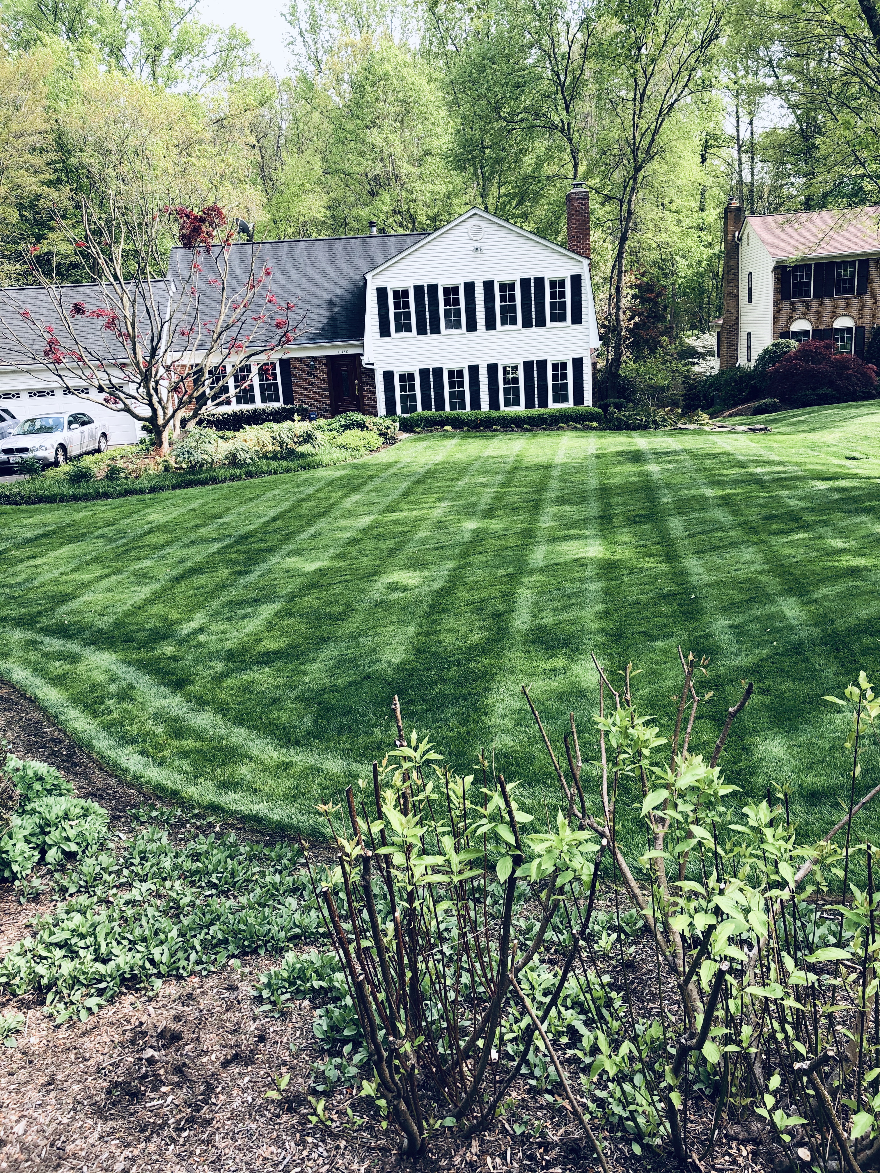 Guzman Landscaping logo
