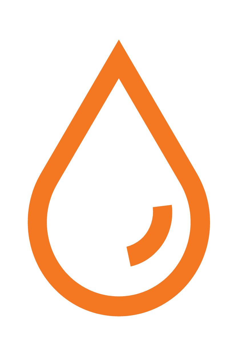 Logo for The Plumbing Pros