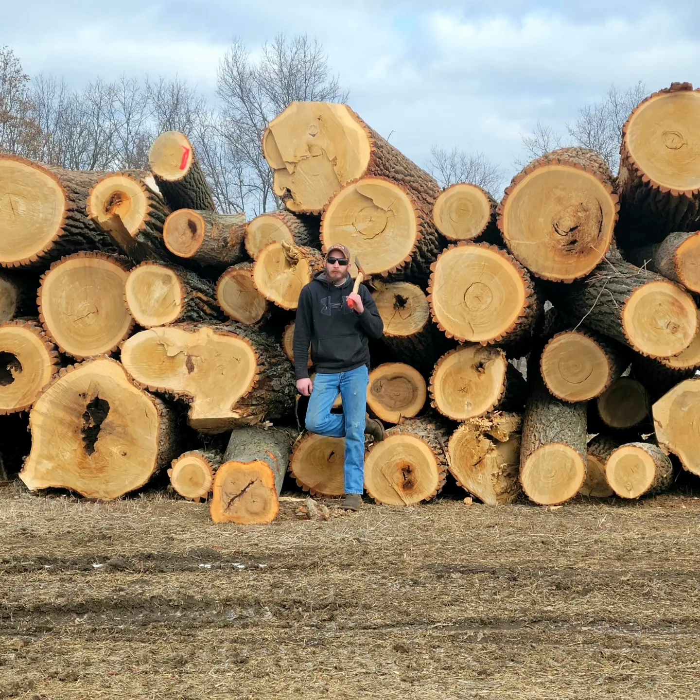 Avatar for T & T Logging
