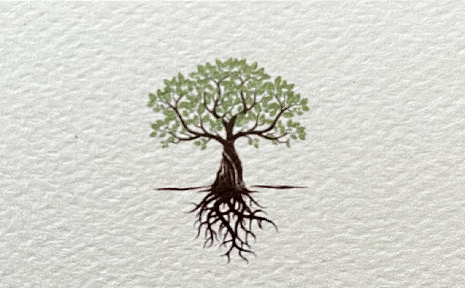 Eco Roots Gardening logo