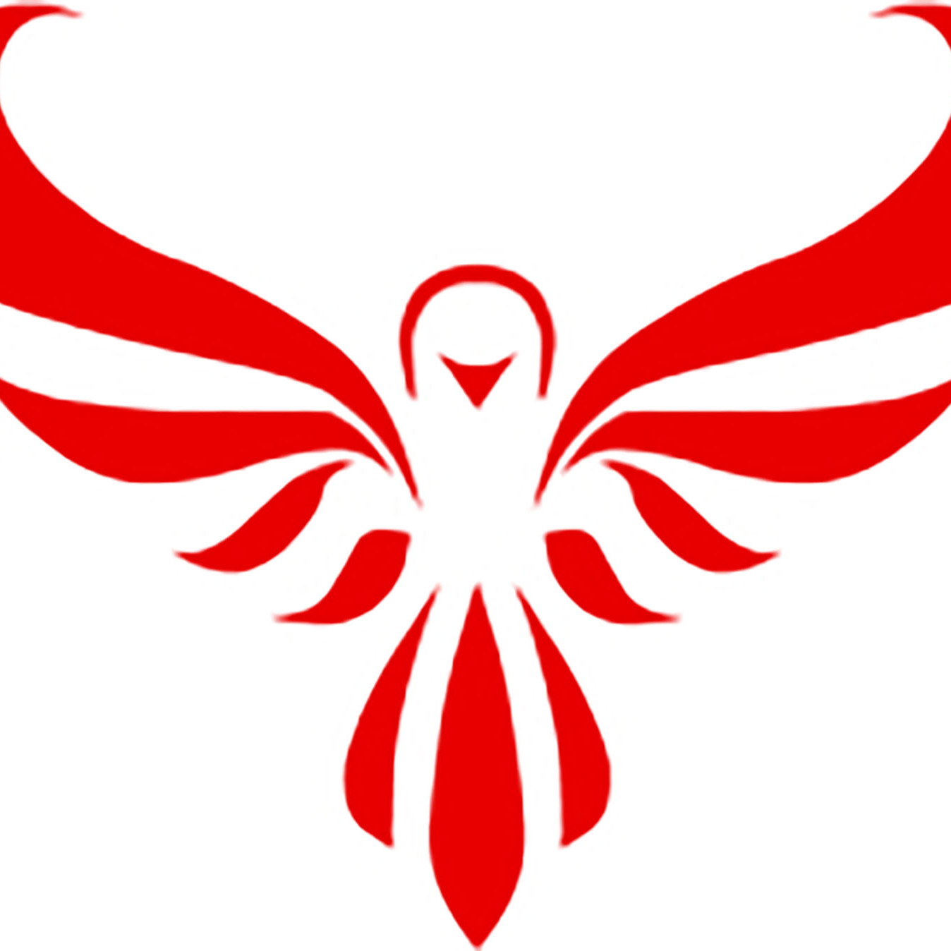 Skye Tech Security Systems Inc. logo