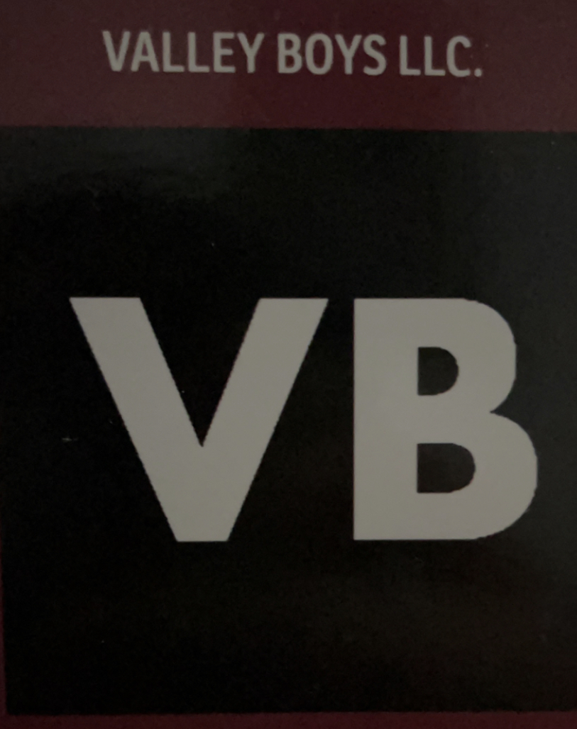 Avatar for Valley Boys Services