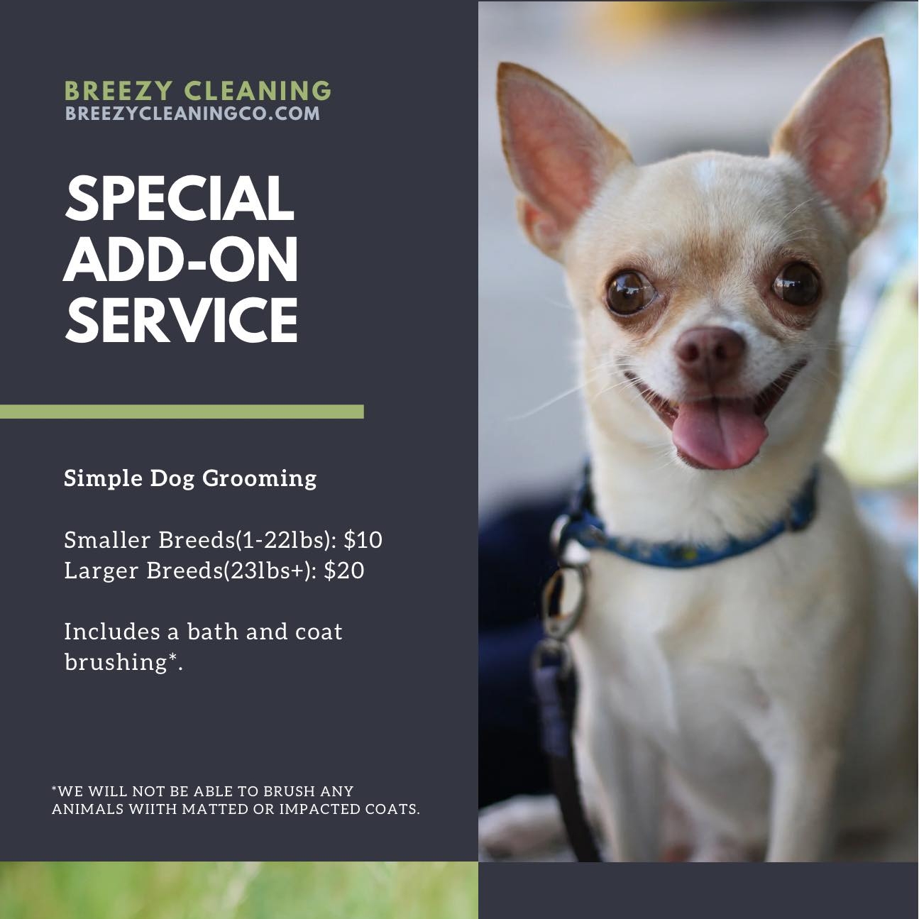 Avatar for Breezy Cleaning