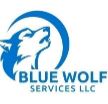 Logo for BluewolfServicesLLC