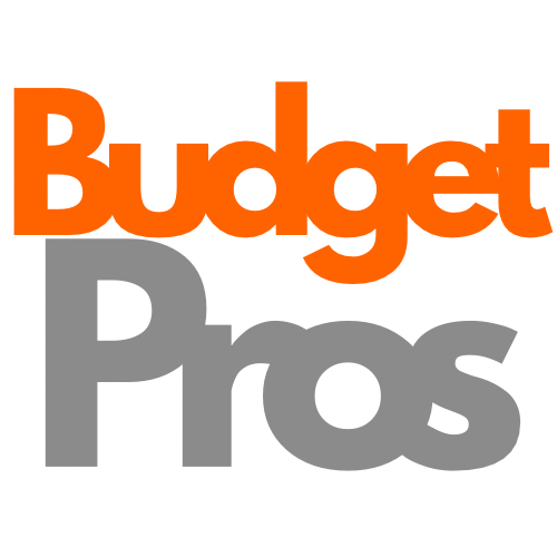 Avatar for BudgetPros Drywall & Restoration
