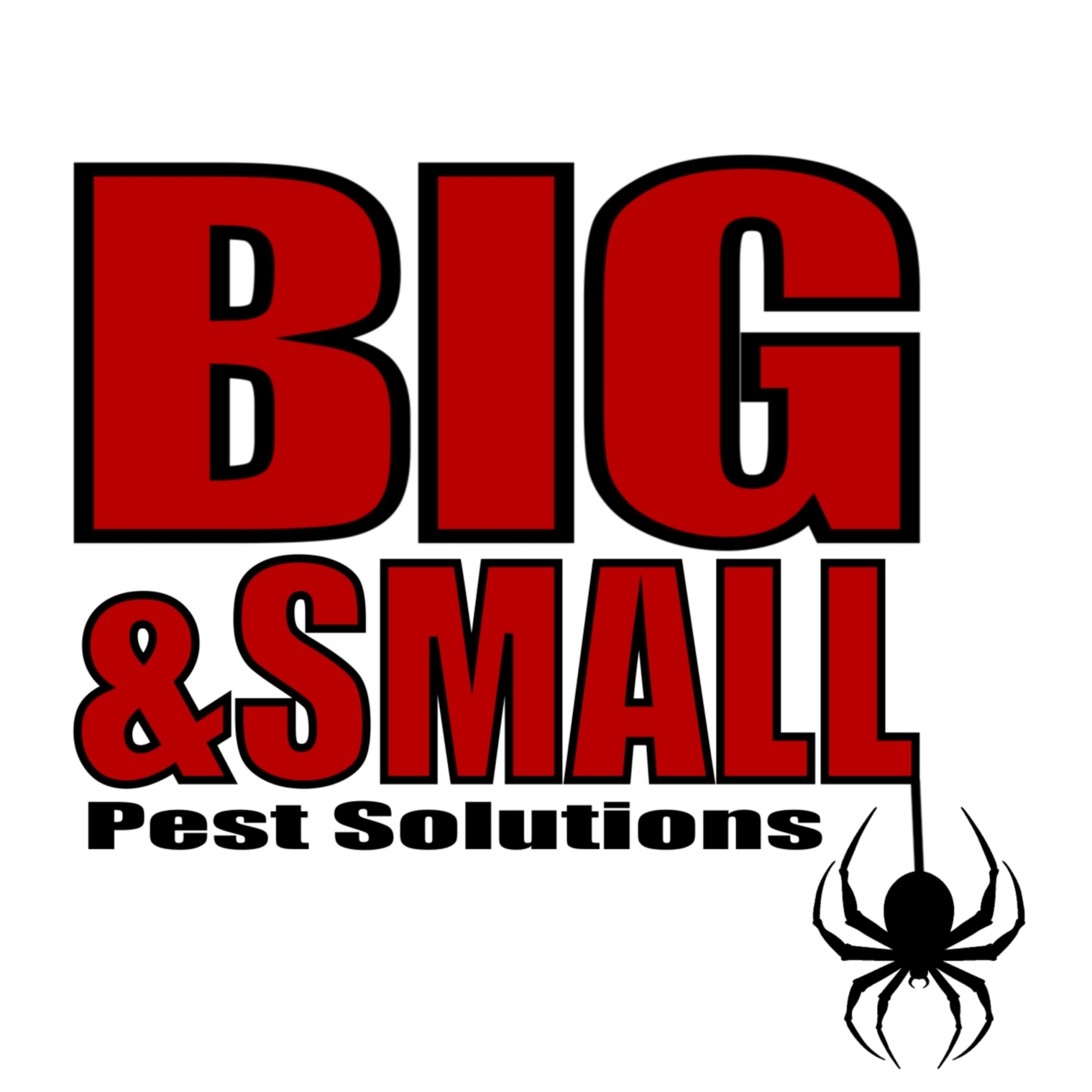 Big & Small Pest Solutions logo