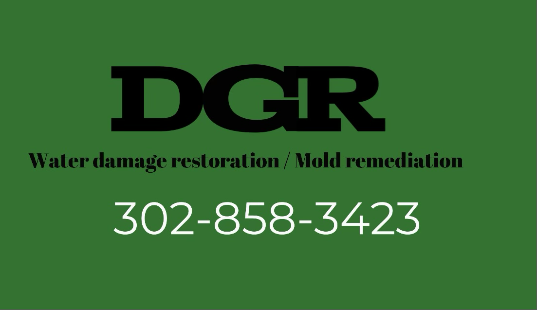 Avatar for Dan Greens Restoration LLC