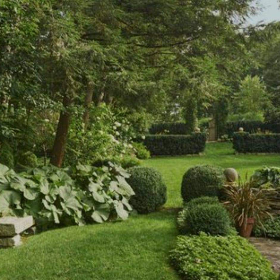 Avatar for Fresh looks landscaping