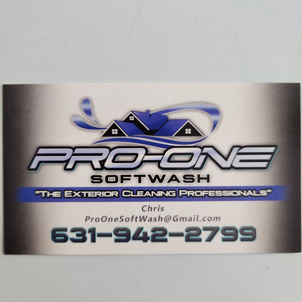 Logo for Pro One Soft Wash LLC