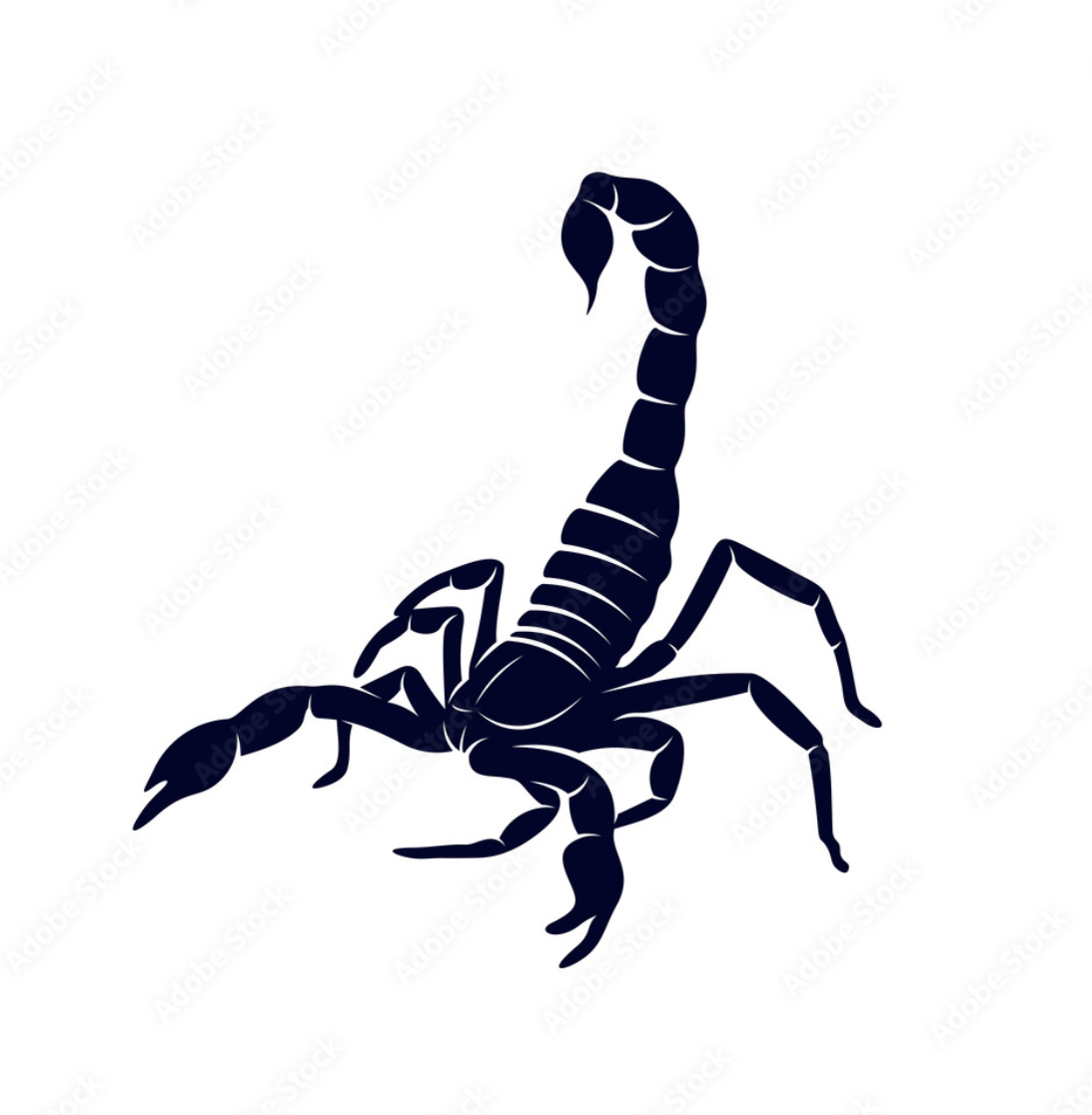 Avatar for Zamaniego Construction Inc
