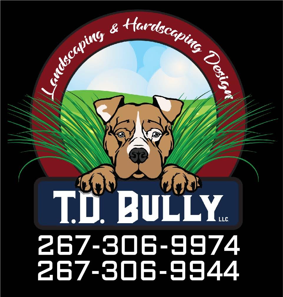 TD Bully II logo