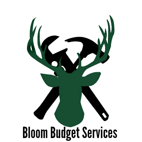 Avatar for Bloom Budget Services