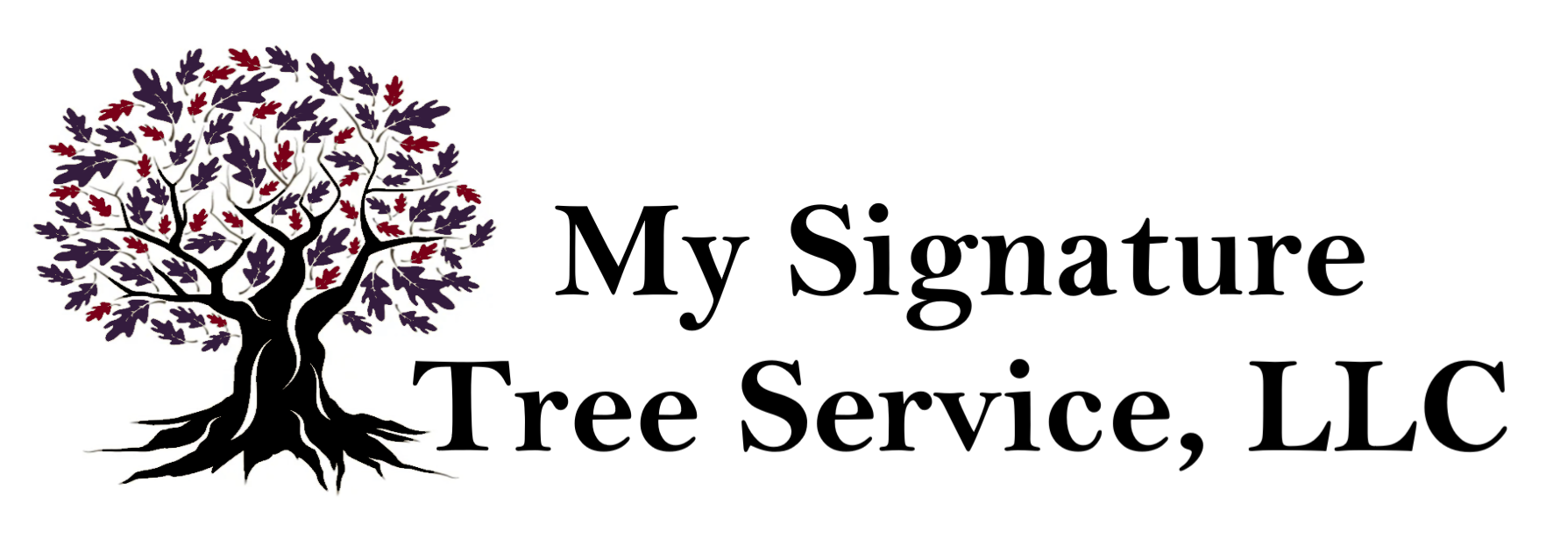 Avatar for My Signature Tree Service