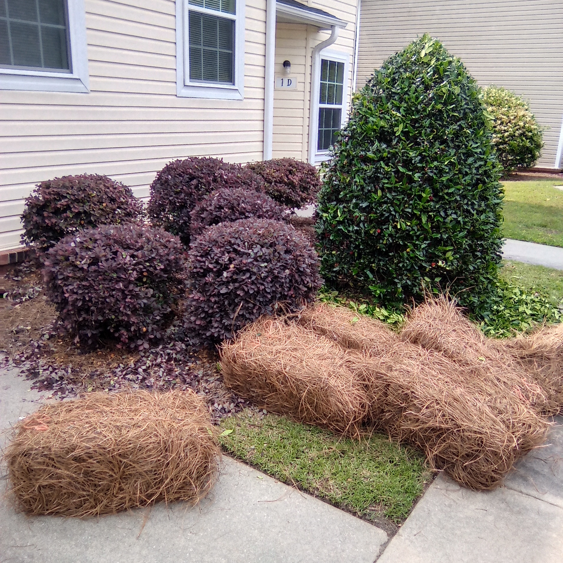 Avatar for Ramirez Landscaping
