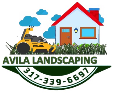 Avatar for Avila Landscaping LLC