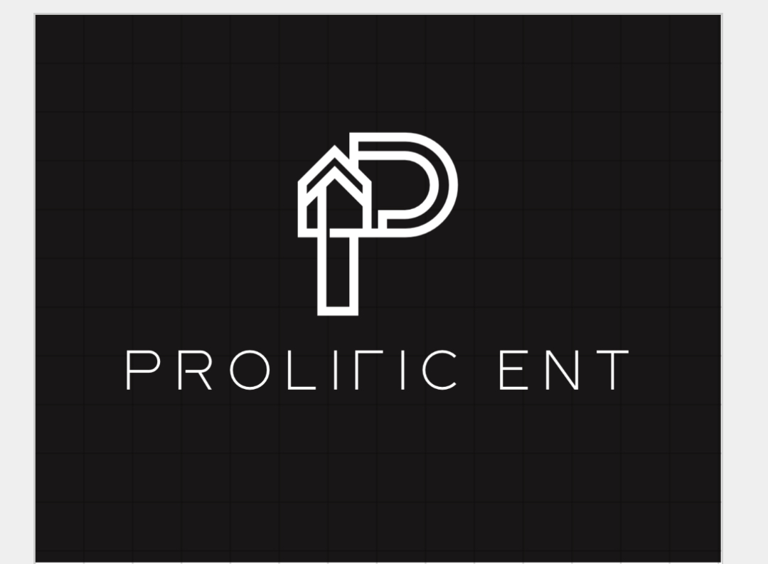 Prolific Enterprises LLC logo