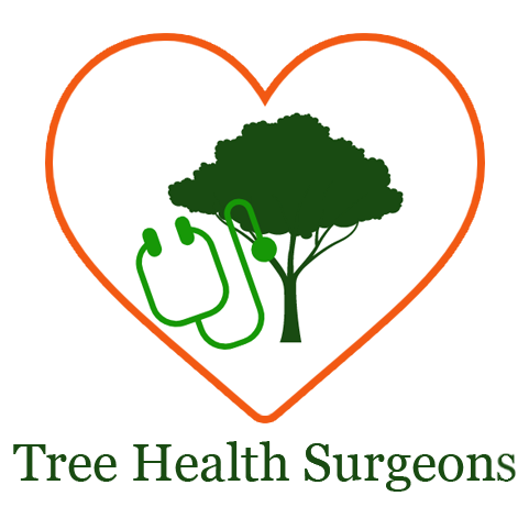 Avatar for Tree health surgeon