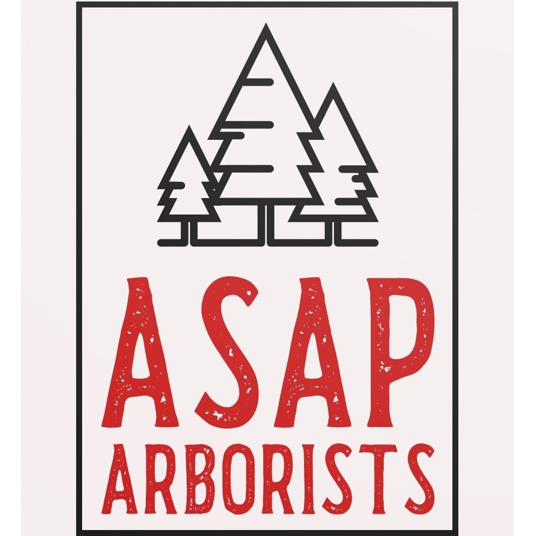 Avatar for ASAP Arborists