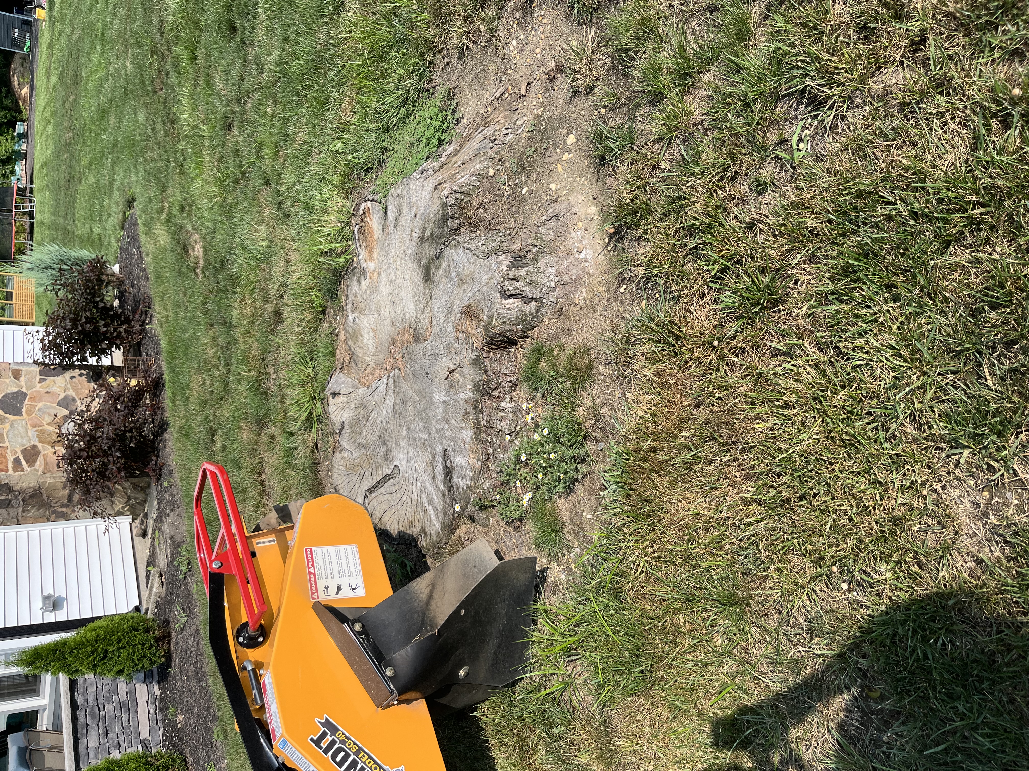 Avatar for Daves stump removal service