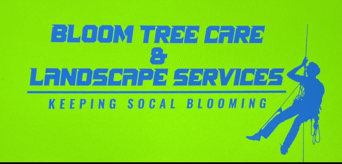 Logo for Bloom Tree Care & Landscape Services