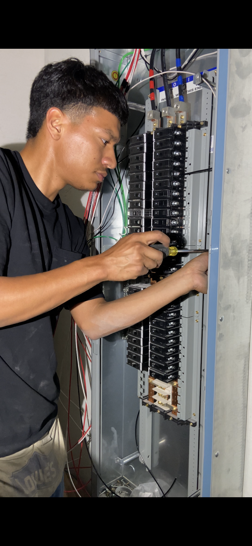 Avatar for Electrical MP