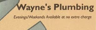 Logo for Wayne's Plumbing