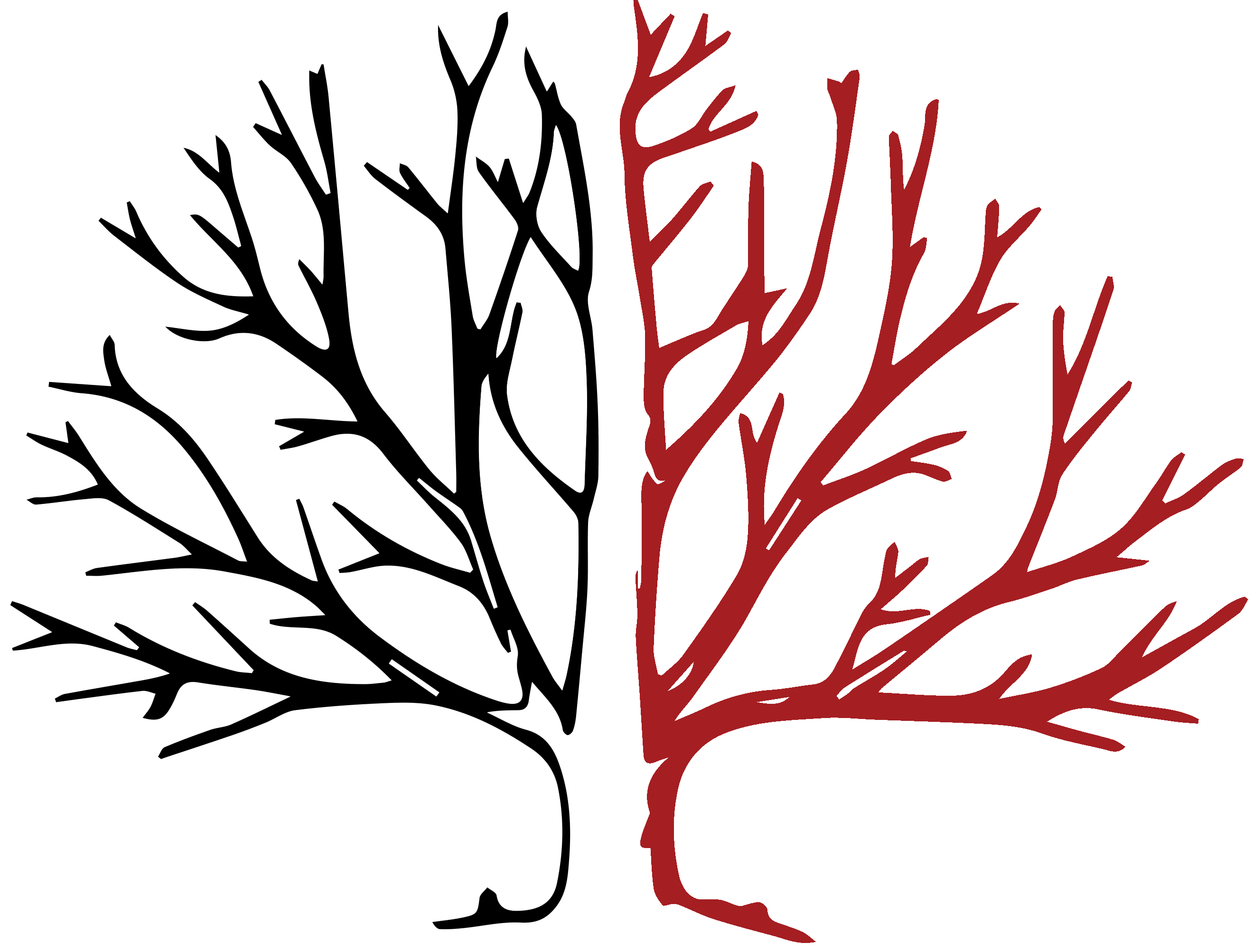 Cahaba River Tree Service logo