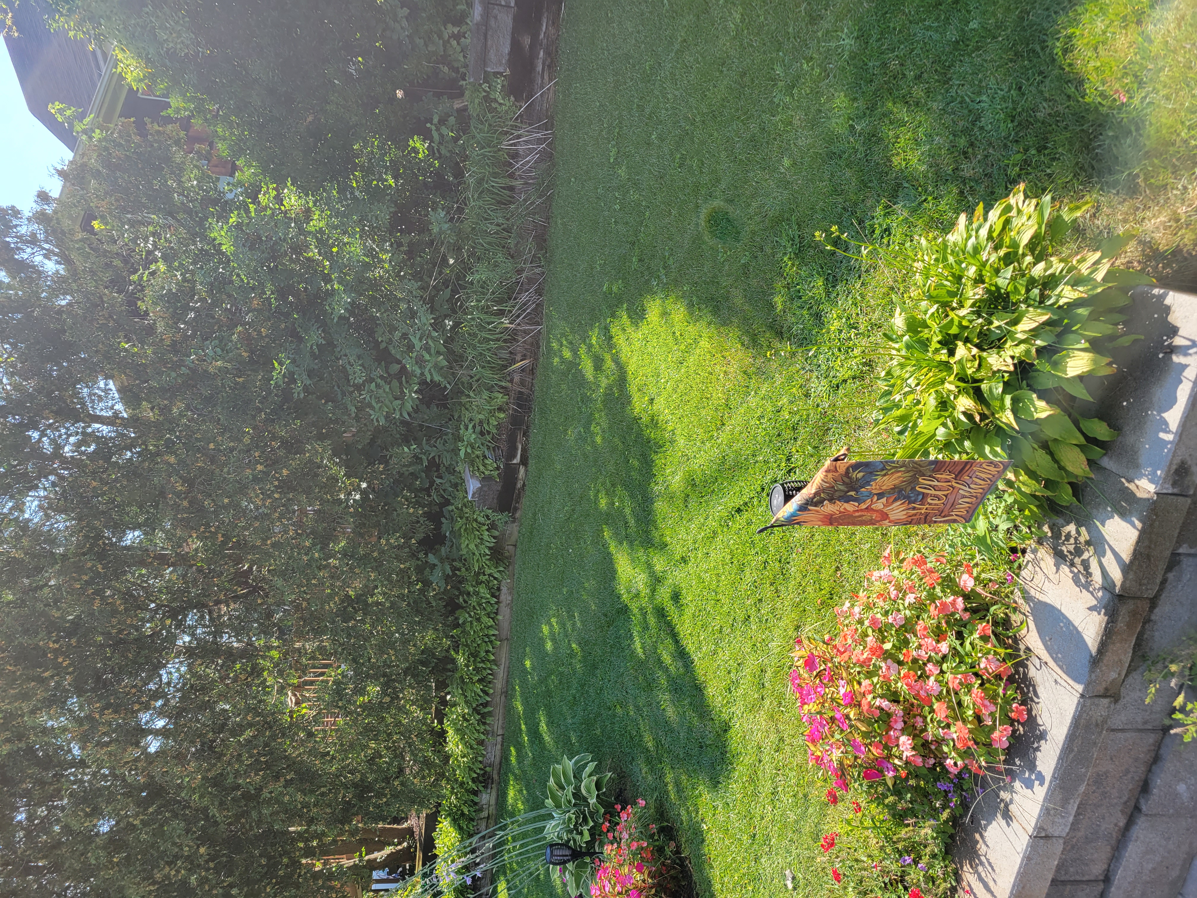 Dream Lawns Landscaping logo