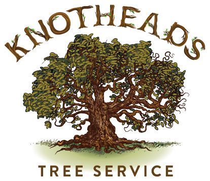 Avatar for Knotheads Tree Service