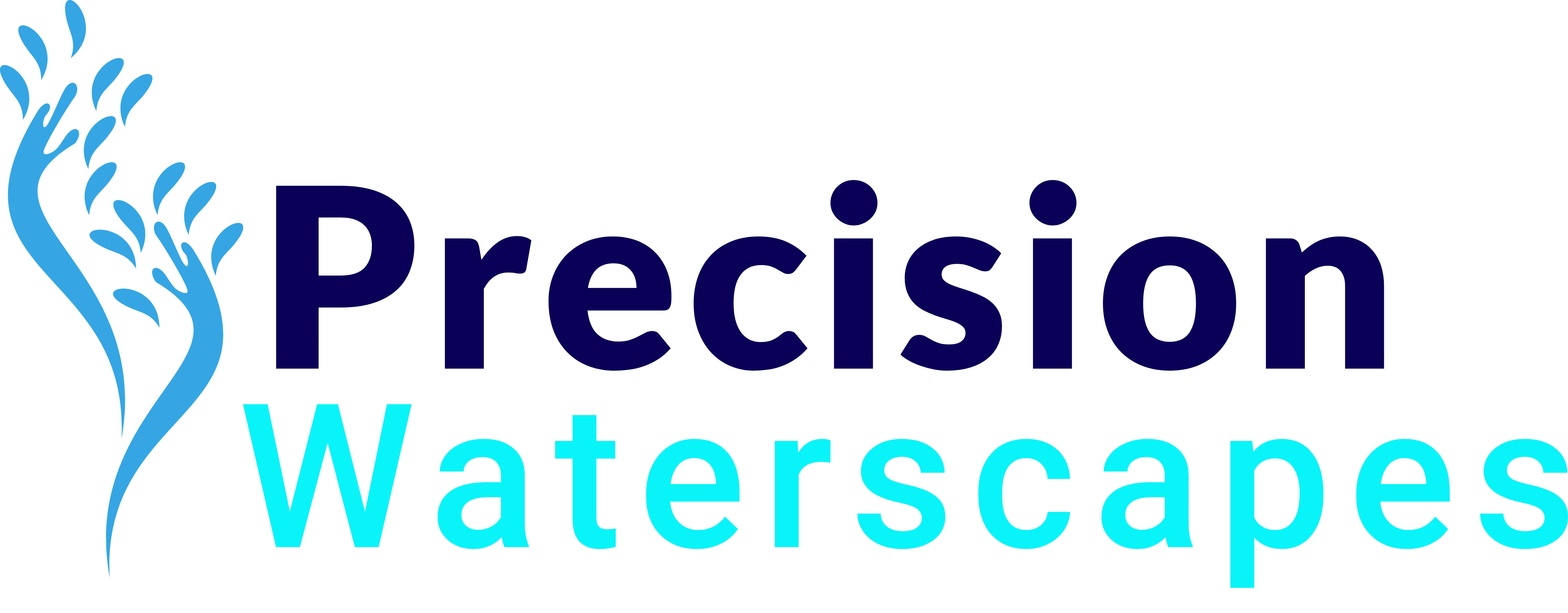 Avatar for Precision Waterscapes