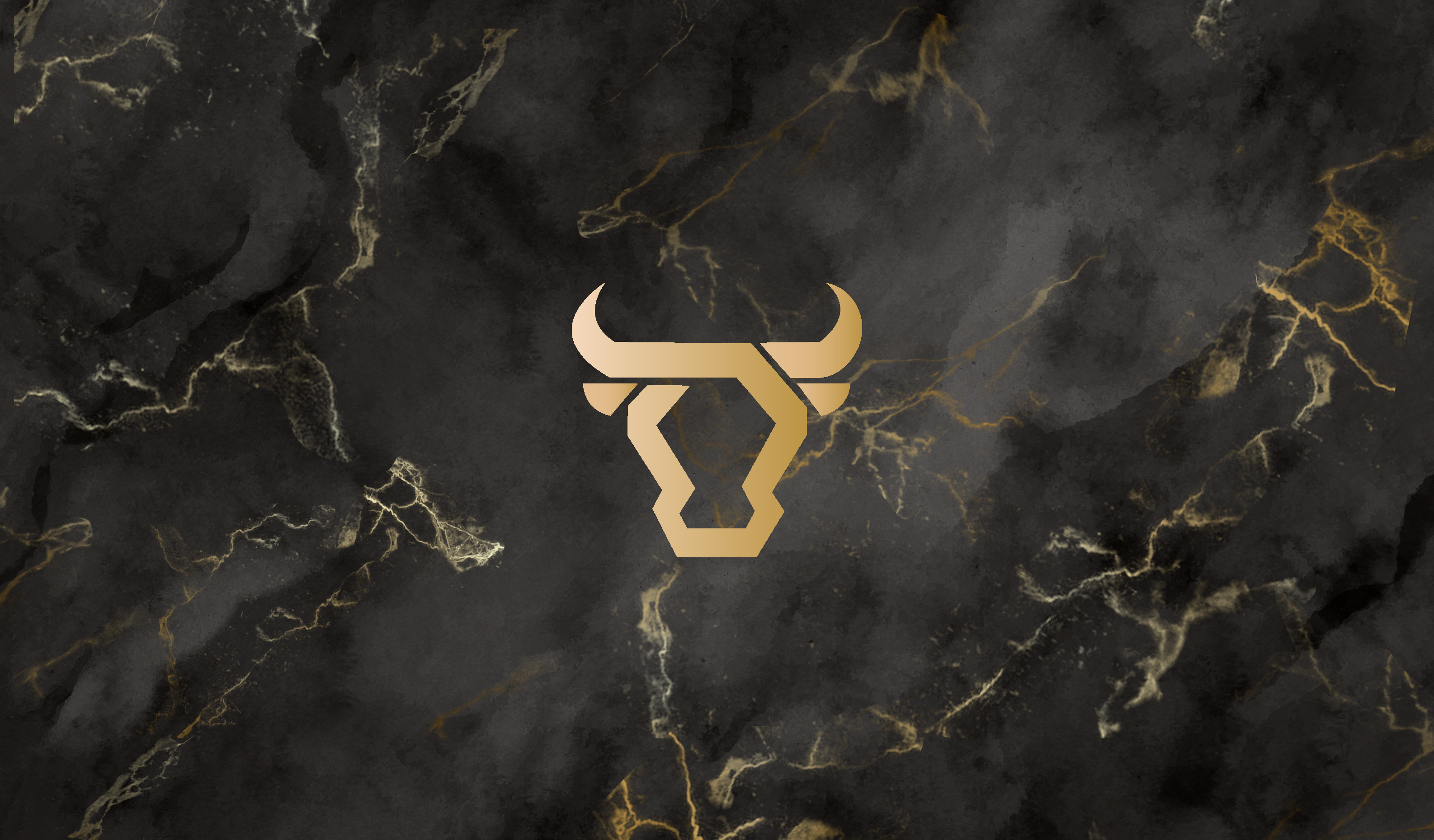 Logo for Taurus Epoxy