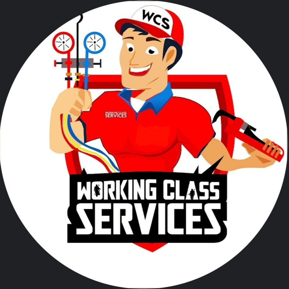 Avatar for WORKING CLASS SERVICES