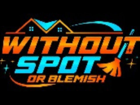 Without Spot or Blemish Cleaning logo