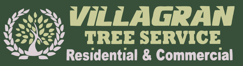 Avatar for Villagran Tree Service, LLC