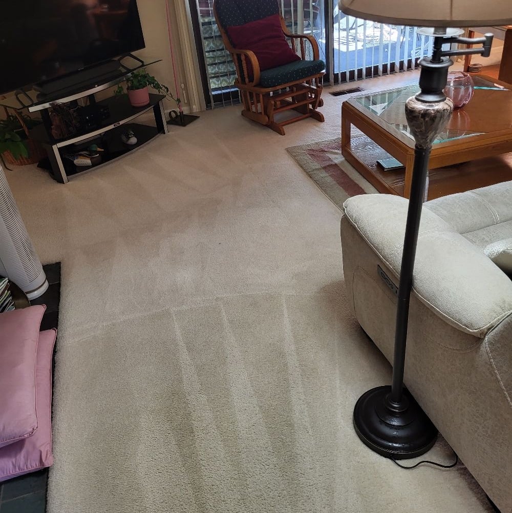 Avatar for RH Carpet Cleaning Services