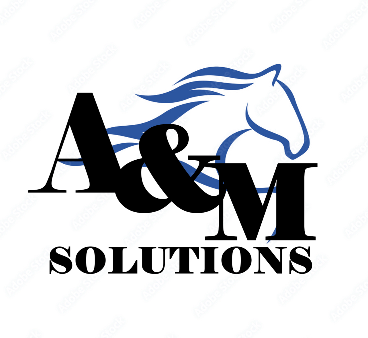 Avatar for Austin and Markram Solutions LLC