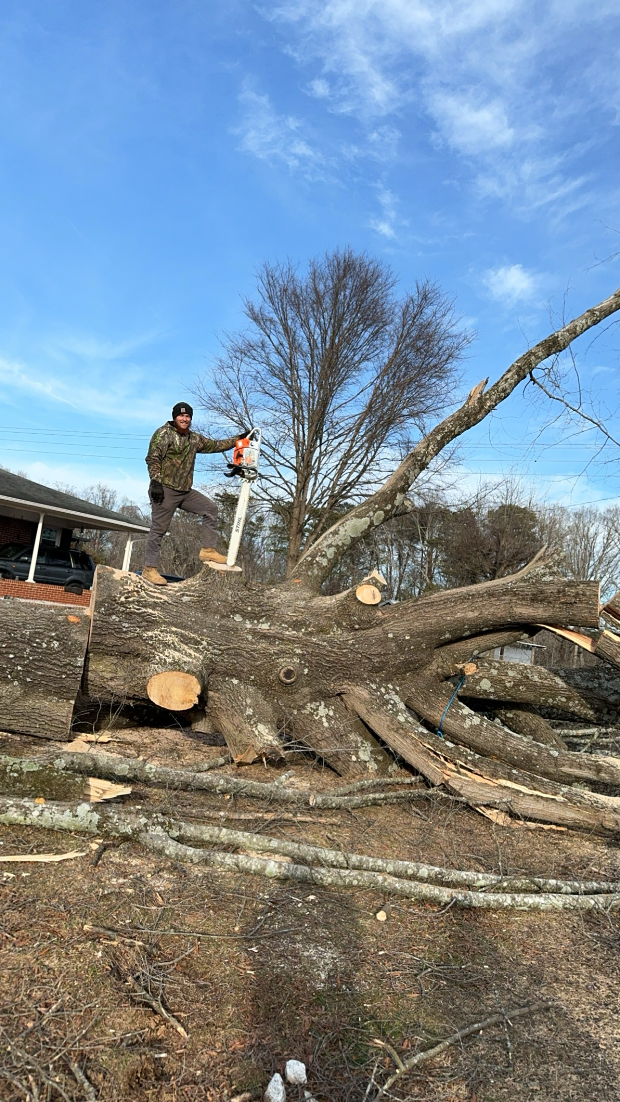 Avatar for Double JJ Tree Service