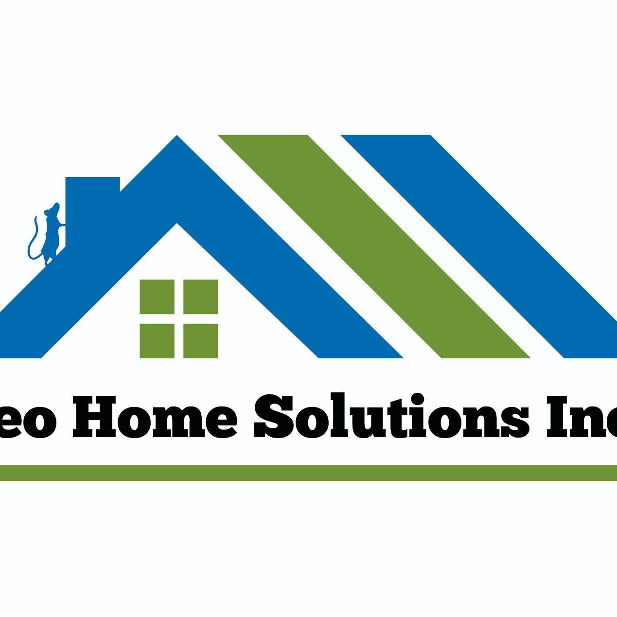 Avatar for Leo Home Solutions Inc.