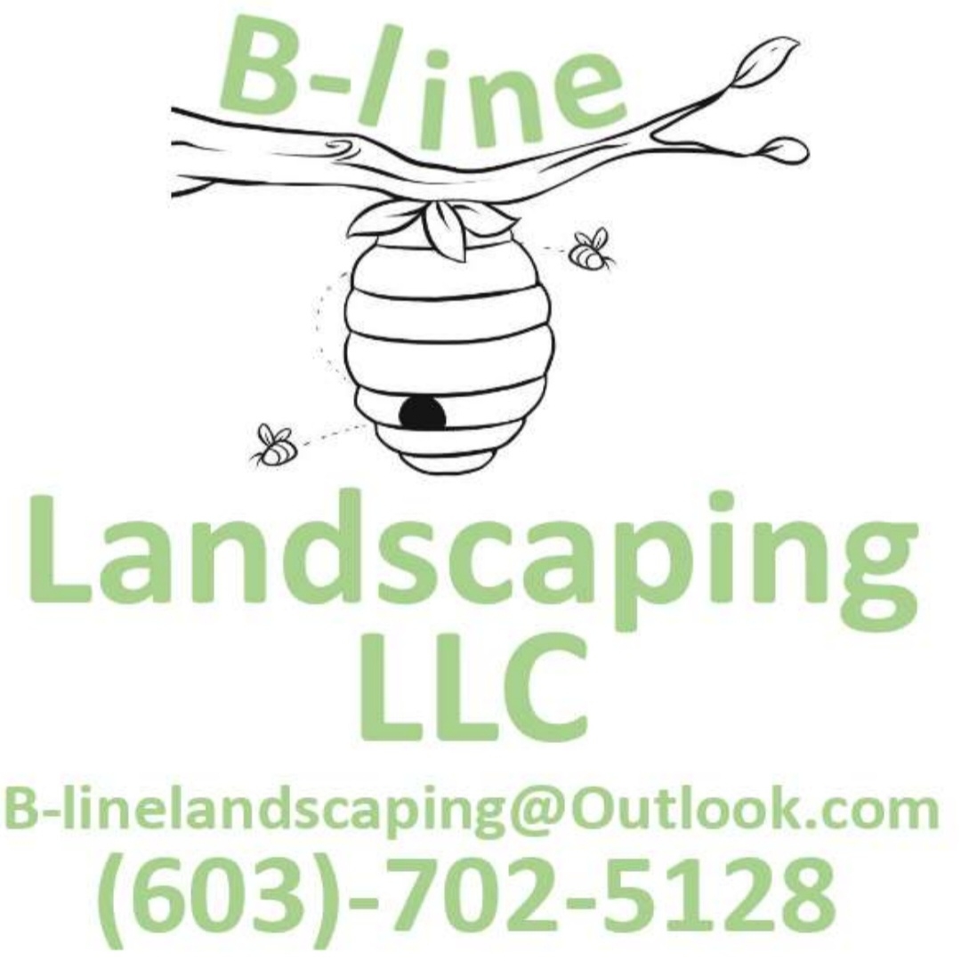 B-Line Landscaping logo