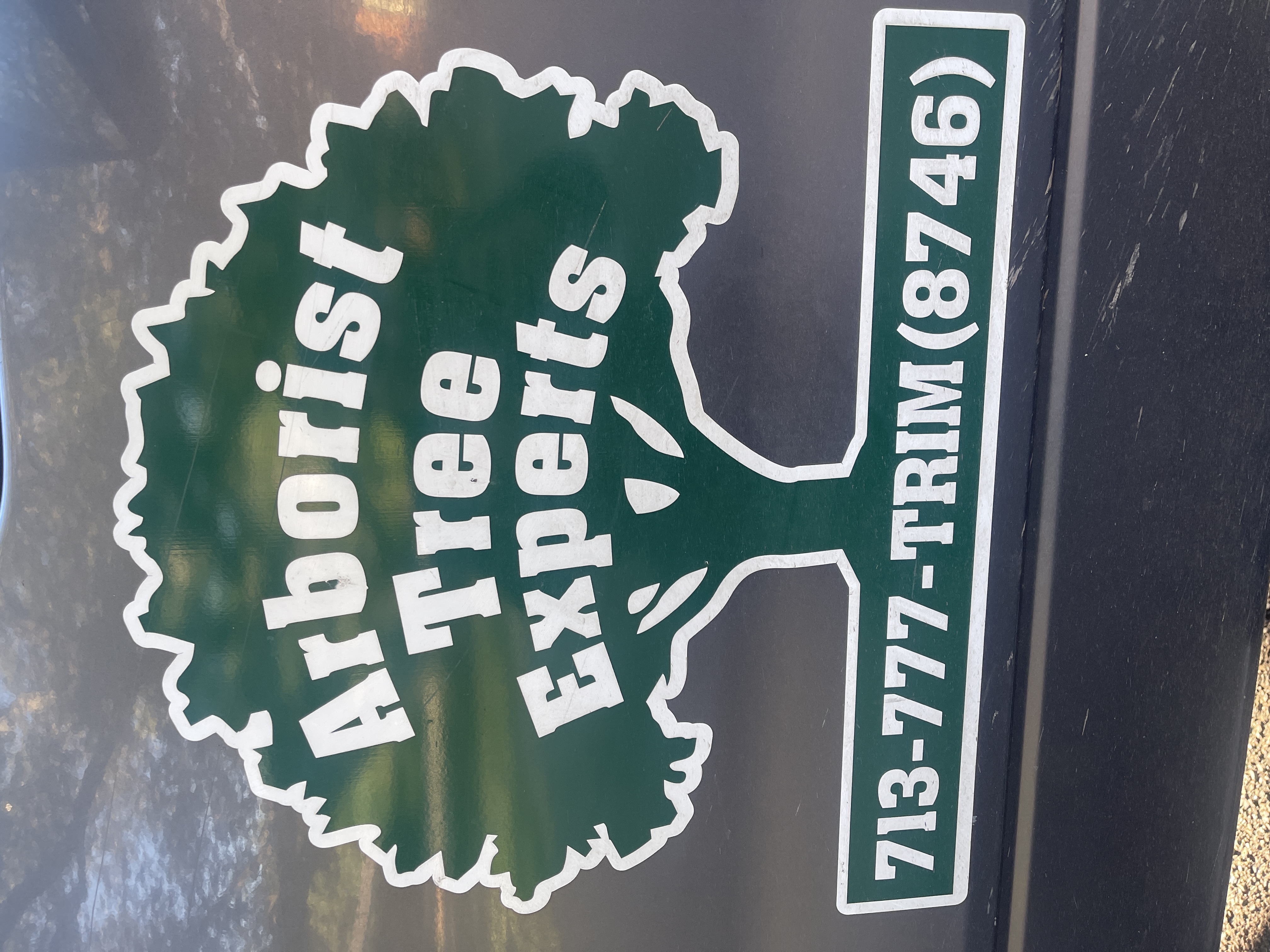 Avatar for Arborist Tree Service