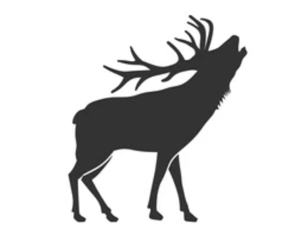 Ivory Welding logo