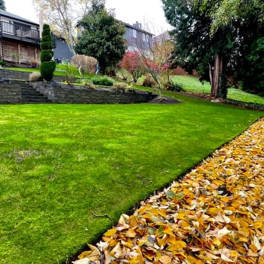 Avatar for Landscaping Maintenance